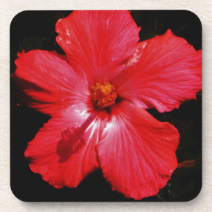Posavasos Red Hibiscus