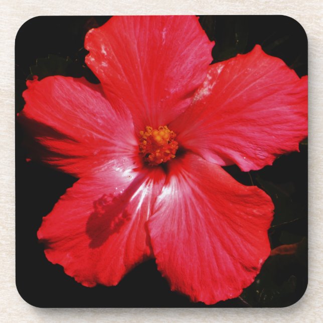 Posavasos Red Hibiscus (Frente)
