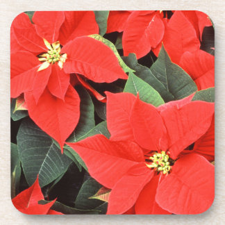 Posavasos Red Poinsettias Set de Astillas de Corcho
