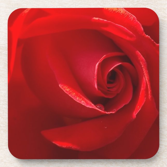 Posavasos Red-Rose-3.jpg (Frente)