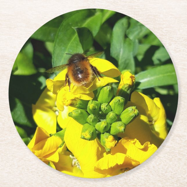 Posavasos Redondo De Papel Abeja a las flores amarillas (Anverso)