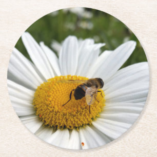 Posavasos Redondo De Papel abeja y margarita