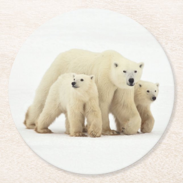 Posavasos Redondo De Papel Animales de bebé más afectados | Familia Oso Polar (Anverso)