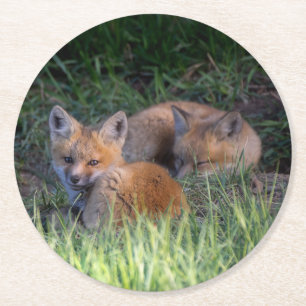 Posavasos Redondo De Papel Animales de bebé más afectados Pareja de hermano