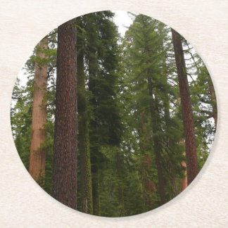 Posavasos Redondo De Papel Bosque Mariposa en el Parque Nacional Yosemite
