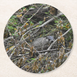 Posavasos Redondo De Papel Busy Beaver