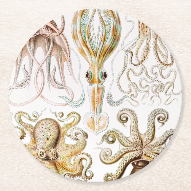 Posavasos Redondo De Papel Calamar del pulpo, Gamochonia por Ernst Haeckel (Anverso)
