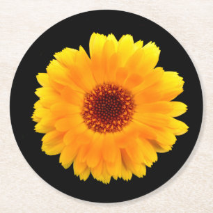 Posavasos Redondo De Papel Calendula Officinalis