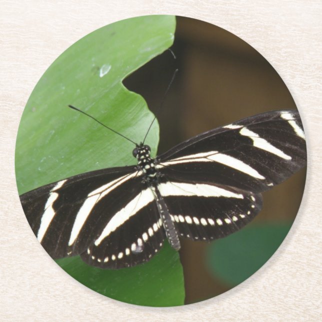 Posavasos Redondo De Papel Cáscaras de papel de mariposa de larga duración de (Anverso)