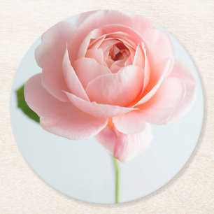 Posavasos Redondo De Papel Colas de papel rosa