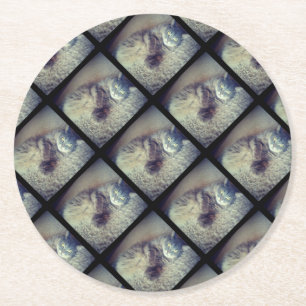 Posavasos Redondo De Papel Collage de un gato por Shirley Taylor