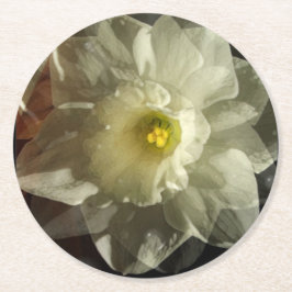 Posavasos Redondo De Papel Daffidol Dreams