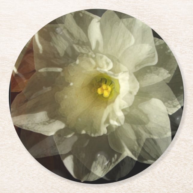 Posavasos Redondo De Papel Daffidol Dreams (Anverso)