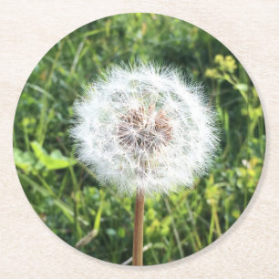 Posavasos Redondo De Papel Dandelion Coaster Set