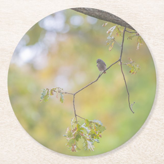 Posavasos Redondo De Papel  design nature (Anverso)