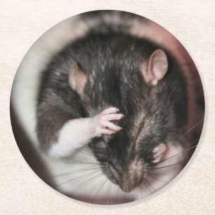 Posavasos Redondo De Papel ¡Dolor de cabeza!