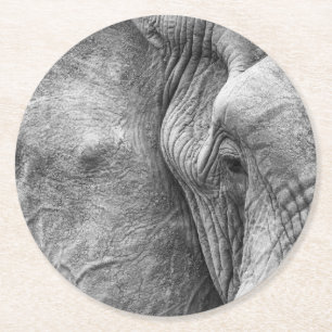 Posavasos Redondo De Papel El ojo de un elefante