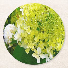 Posavasos Redondo De Papel Elegante Hortensia Hydrangea Verde Chartreuse Lime