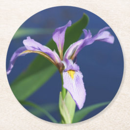 Posavasos Redondo De Papel Envase de iris de 6