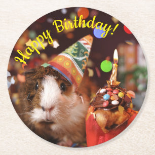 Posavasos Redondo De Papel Feliz cumpleaños - cerdo guineano Fiesta