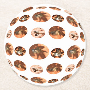 Posavasos Redondo De Papel Forma de la bola de Meerkat, escayola redonda
