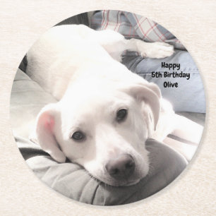 Posavasos Redondo De Papel Foto de Perro blanco tierno en el sofá con papá