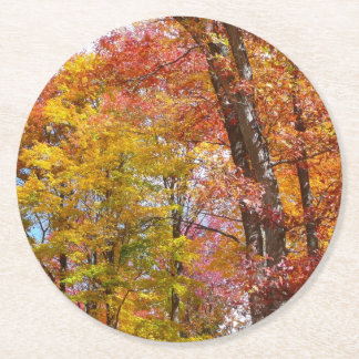 Posavasos Redondo De Papel Fotografía de otoño de árboles caídos naranjas y a