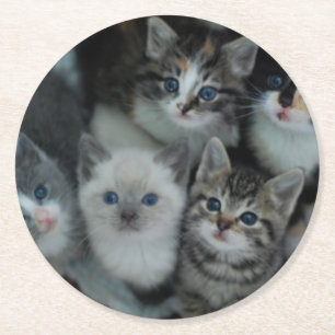 Posavasos Redondo De Papel Gatitos en una cesta