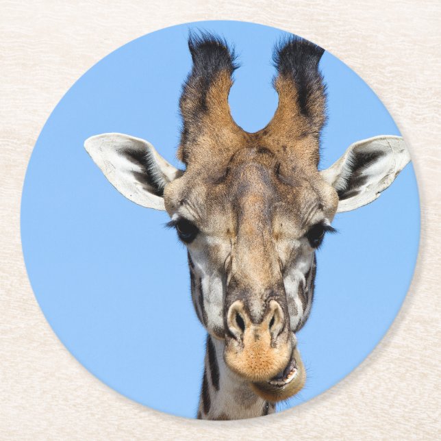 Posavasos Redondo De Papel Giraffe (Anverso)