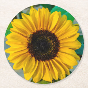 Posavasos Redondo De Papel Girasol con abeja de miel