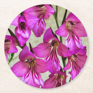 Posavasos Redondo De Papel Gladiolus bizantino