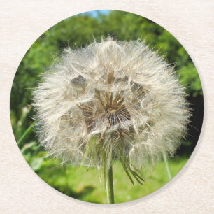 Posavasos Redondo De Papel Goatsbeard Wildflower