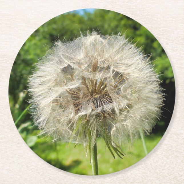 Posavasos Redondo De Papel Goatsbeard Wildflower (Anverso)