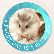 Hammyville - Cute Robo Hamster