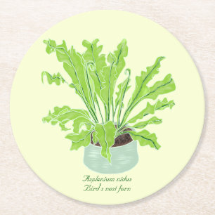Posavasos Redondo De Papel Helicóptero de nido de pájaro asplenium - dibujand