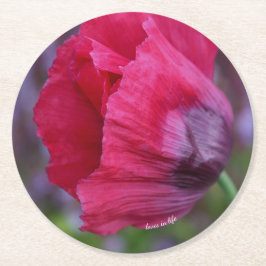 Posavasos Redondo De Papel Hermosa flor de amapola PInk y púrpura