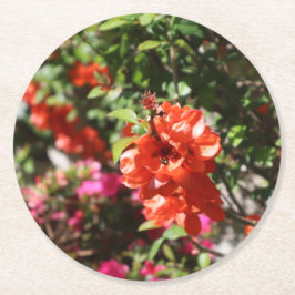 Posavasos Redondo De Papel Hermosa flor roja quinceañera fotográfica