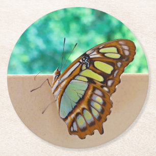 Posavasos Redondo De Papel Hermosas destiladoras para la pulpa de mariposa