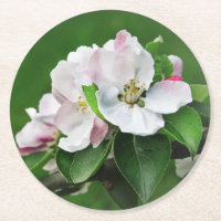 Hermosas montañas de primavera de manzanos en flor