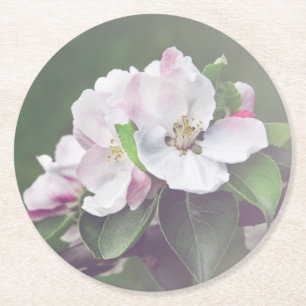 Posavasos Redondo De Papel Hermosos Posavasos de Jardín en Flor en Primavera