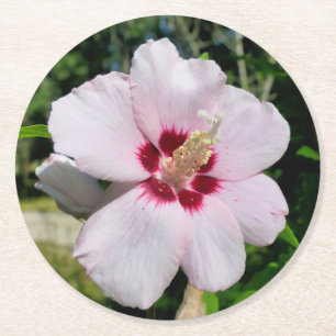 Posavasos Redondo De Papel Hibiscus