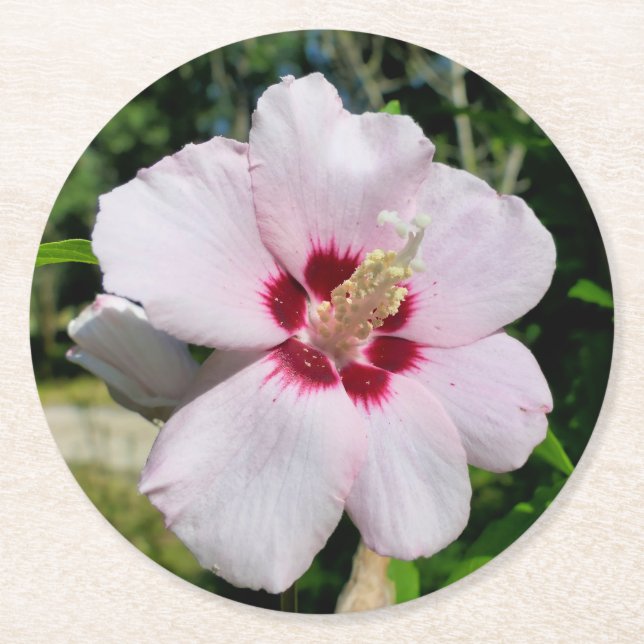 Posavasos Redondo De Papel Hibiscus (Anverso)