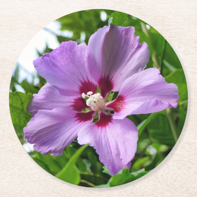 Posavasos Redondo De Papel Hibiscus (Anverso)