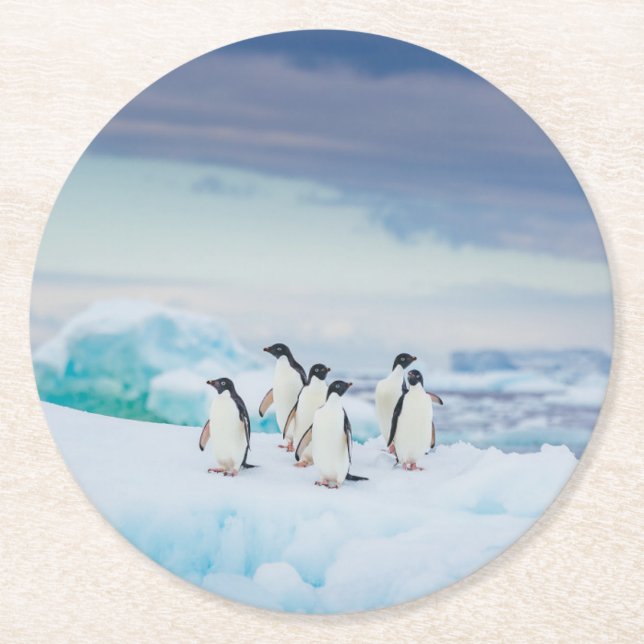 Posavasos Redondo De Papel Hielo y nieve | Adelie Penguins Antártida (Anverso)