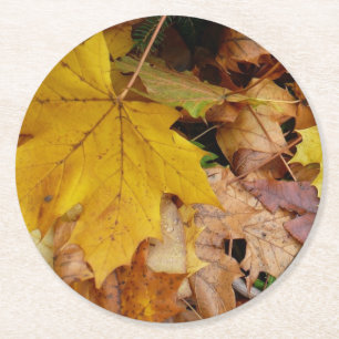 Posavasos Redondo De Papel Hojas de Arce Caídas Amarillas Otoño Naturaleza