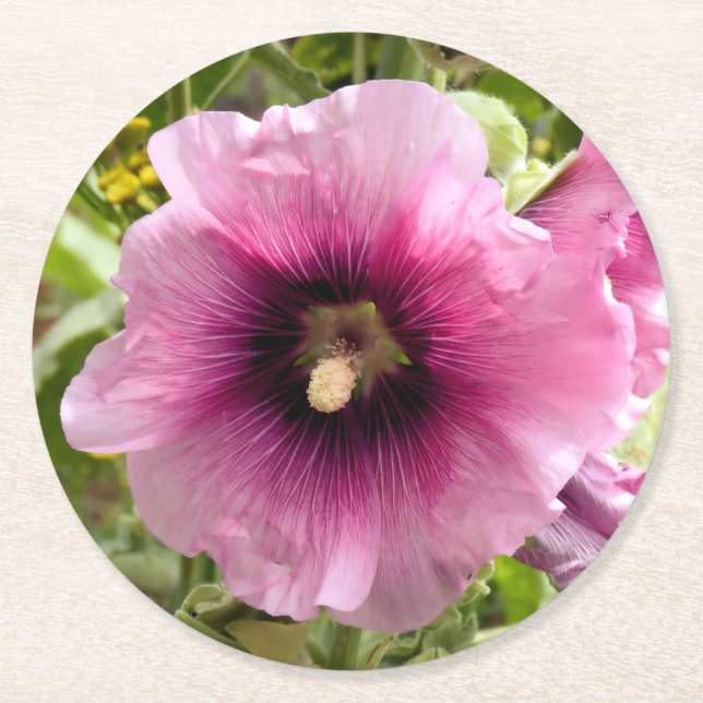 POSAVASOS REDONDO DE PAPEL HOLLYHOCKS (Anverso)