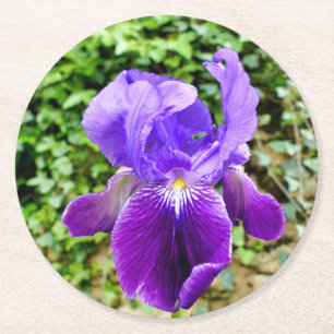 Posavasos Redondo De Papel Iris con barba