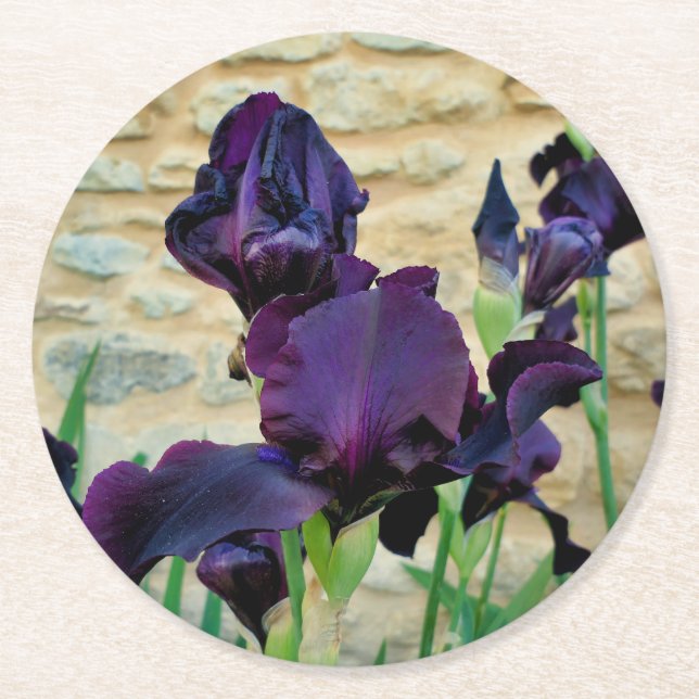 Posavasos Redondo De Papel Iris con barba (Anverso)