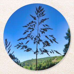Posavasos Redondo De Papel Johnson Grass