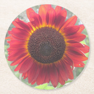Posavasos Redondo De Papel La montaña rusa del Fiesta del girasol rojo